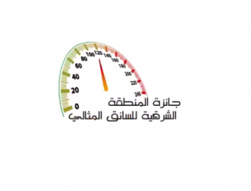 السائق المثالي